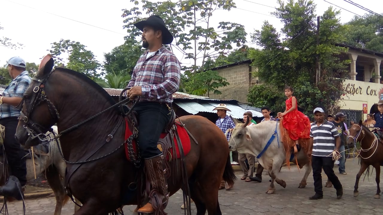 Hipico1
